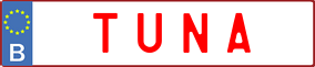 Truck License Plate